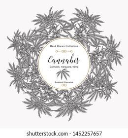 Cannabis background. Marijuana pant hand drawn. Medical plants hand drawn. Vector botanical illustration.