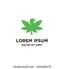 Cannabis bird logo icon vector