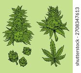 Cannabis bud vector illustration set cliparts. Marijuana leaf vector