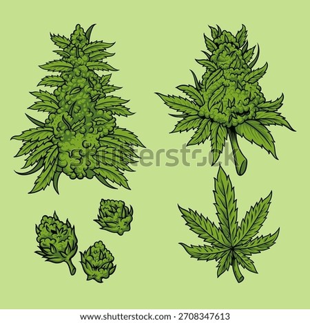 Cannabis bud vector illustration set cliparts. Marijuana leaf vector
