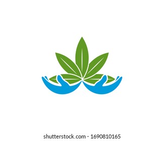 Cannabis Care logo design vector template. Creative Cannabis on white background