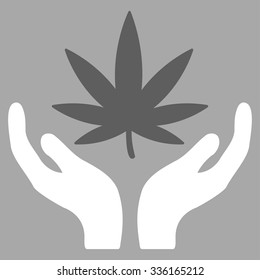 Cannabis Care vector icon. Style is bicolor flat symbol, dark gray and white colors, rounded angles, silver background.