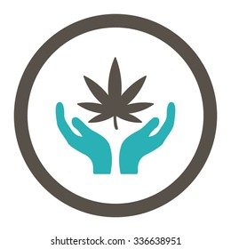 Cannabis Care vector icon. Style is bicolor flat rounded symbol, grey and cyan colors, rounded angles, white background.