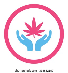 Cannabis Care vector icon. Style is bicolor flat rounded symbol, pink and blue colors, rounded angles, white background.