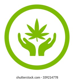 Cannabis Care vector icon. Style is flat rounded symbol, eco green color, rounded angles, white background.