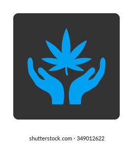 Cannabis Care vector icon. Style is flat rounded square button, blue and gray colors, white background.