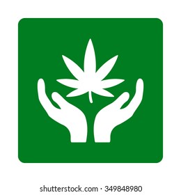 Cannabis Care vector icon. Style is flat rounded square button, white and green colors, white background.