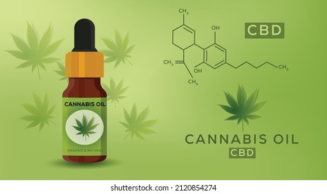 Cannabis CBD oil concept vector illustration with essential oil bottle design, hemp leaves and symbol designs