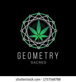 Plantilla de diseño vectorial del logotipo de la forma de la goma de cáñamo y la génesis de cáñamo