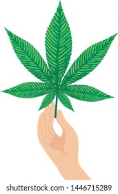 Cannabis concept design of vector.