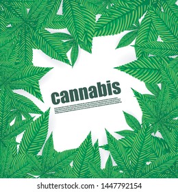 Cannabis concept design of vector.