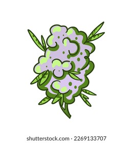 Cannabis cones. Marijuana Branch, Vector Illustration of Medical Weed