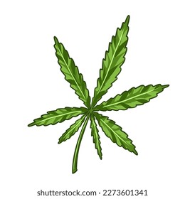 Cannabis cones. Marijuana Branch, Vector Illustration of Medical Weed