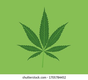 cannabis design consisting of seven cannabis leaves