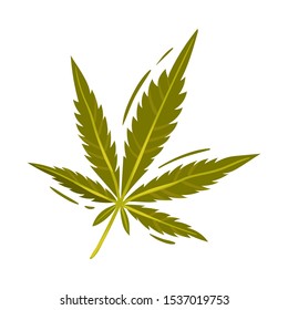 Vector De Hoja Detallado De Cannabis Objeto Ilustrado Aislado En Fondo Blanco