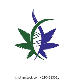 Cannabis and DNA vector logo design. Cannabis biotech DNA logo.