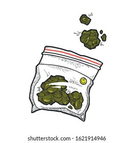 Cannabis Dried Seeds in Package Vector Object Isolated On White Background