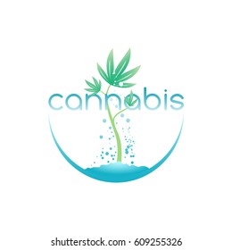 Cannabis Emblem, Logo For Medical Marijuana Shop, Vector Illustration.