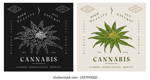 Cannabis florale Pflanze Retro Vintage-Logo-Vorlage