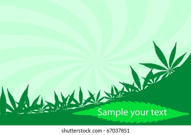 Cannabis frame, which can be used like a visit card =)  Vector illustration.