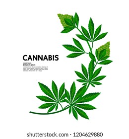 Cannabis great vector. 