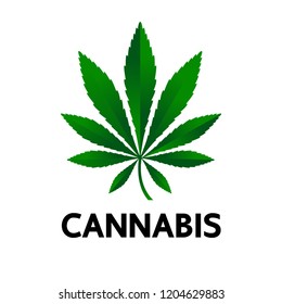 Cannabis great vector. 