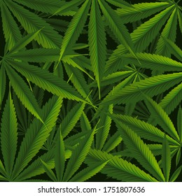 cannabis green background, vector illustration