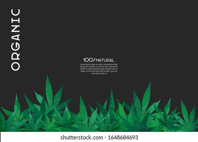 Cannabis Green Leaves Silhouettes Border. Bright Poster, Flyer Template