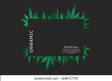 Cannabis green leaves silhouettes frame. Bright poster, flyer template