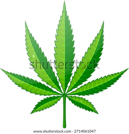 Cannabis Hemp Leaf Flat Icon РЎannabis or marijuana leaf with dew drops. hemp for emblem, logo, advertisement of medical services, for packaging or printed materials. flat style icon. isolated vector illustration