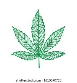 Cannabis. Hemp leaf hand drawn vector illustration isolated on white background. Marijuana leaf sketch drawing graphic. Part of set.