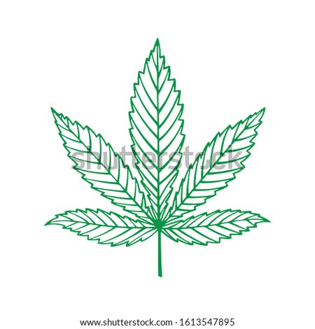 Cannabis. Hemp leaf hand drawn vector illustration isolated on white background. Marijuana leaf sketch drawing graphic. Part of set.