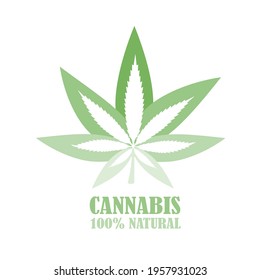 Cannabis or hemp leaf logo vector design, 100% natural source of CBD (Cannabidiol) for medical and herbal drug