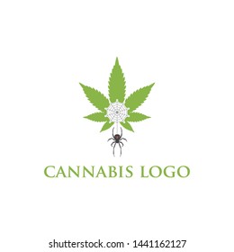 Cannabis Hemp Marijuana Leaf Vector Logo Template