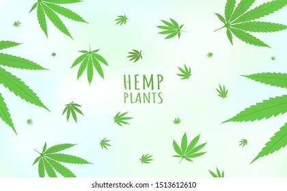 Cannabis hemp plants background horizontal pattern with marijuana hemp plant green leaves flat style design vector illustration isolated on bright background.
