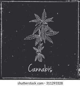 Cannabis herb.