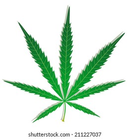 Cannabis herb leaf (hemp, weed, marijuana). Vector illustration