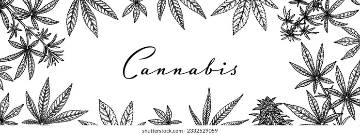 Cannabis horizontal design for packaging, social media posts, store decoration, branding, certificates. Marijuana vector illustration in sketch style. Hemp engraved background
