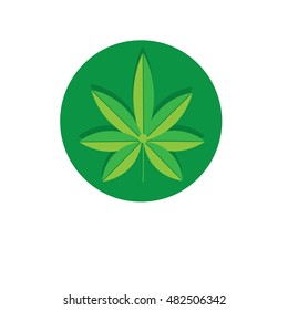 cannabis icon - vector illustrator