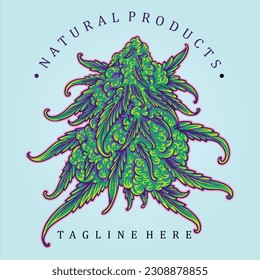 Cannabis indica strain natural herbal product illustrations vector illustrations for your work logo, merchandise t-shirt, stickers and label designs, poster, greeting cards advertising business 