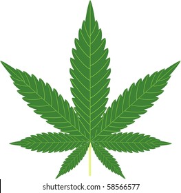 cannabis isolated on white