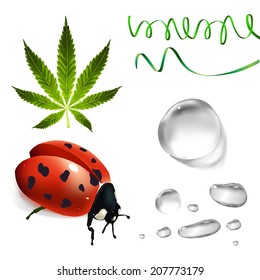 Cannabis, ladybug, transparent water drops.