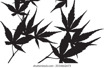 Hoja de cannabis silueta negra aislada Ilustración vectorial de fondo blanco