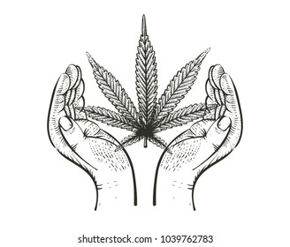 Cannabis leaf with caring hands logo. Label in vintage grunge style. Graphic design for clothes, shirt, apparel, logo. Vector illustration