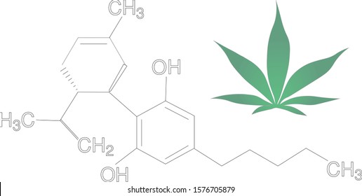 Cannabis leaf and CBD chemical formula, cannabidoil concept