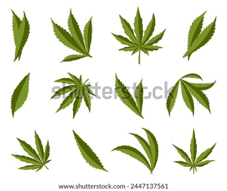 Cannabis leaf collection on a white background. Marijuana hemp leafs. Medical marijuana plant icons. Set of cannabis leaf icons
