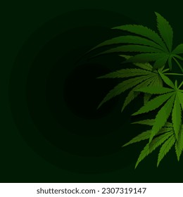 cannabis leaf dark background vector illustration