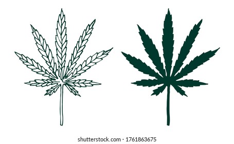 Cannabis leaf design hand drawn doodle and flat style on white background. Hemp vector illustration