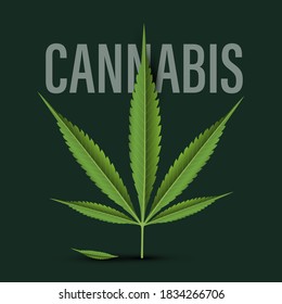 Diseño de hojas de cannabis en fondo oscuro - Vector