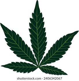 Vector de diseño de hoja de cannabis. Plantas medicinales
